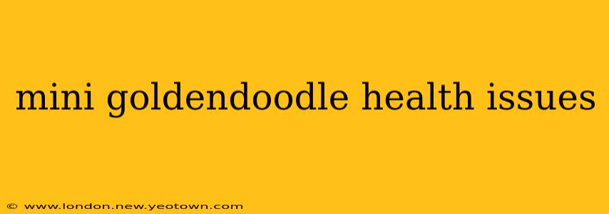 mini goldendoodle health issues