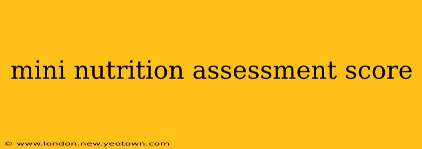 mini nutrition assessment score