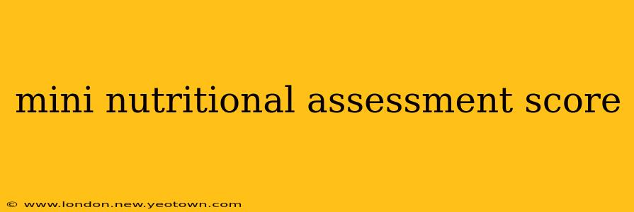 mini nutritional assessment score
