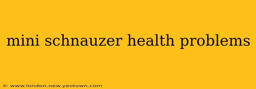 mini schnauzer health problems