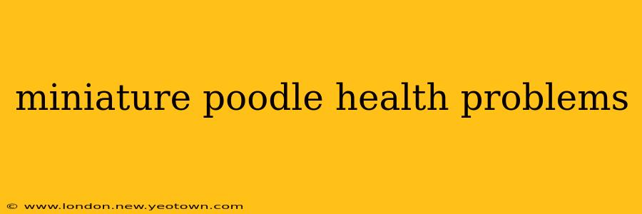 miniature poodle health problems