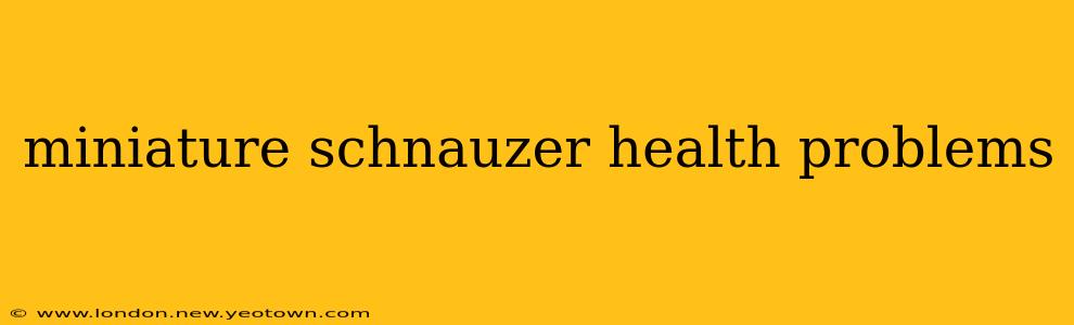 miniature schnauzer health problems