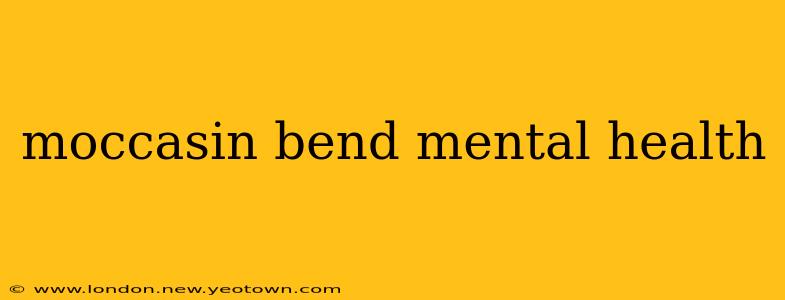 moccasin bend mental health