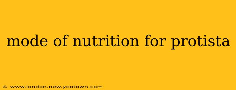 mode of nutrition for protista