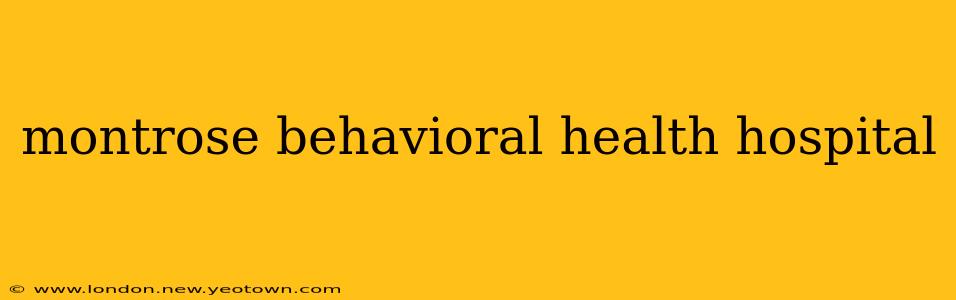 montrose behavioral health hospital