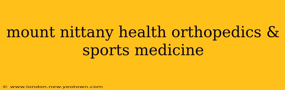 mount nittany health orthopedics & sports medicine