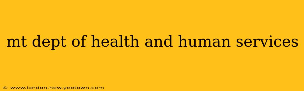 mt dept of health and human services