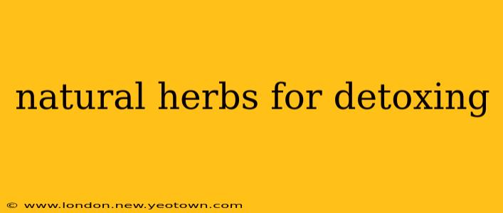 natural herbs for detoxing