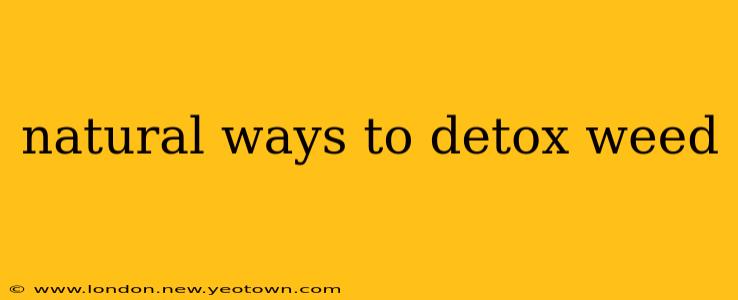 natural ways to detox weed