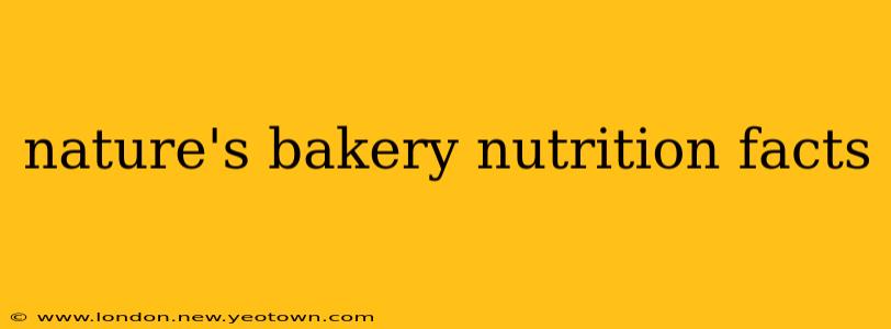 nature's bakery nutrition facts