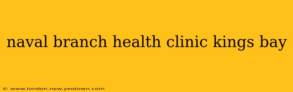 naval branch health clinic kings bay