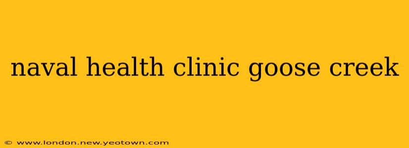 naval health clinic goose creek