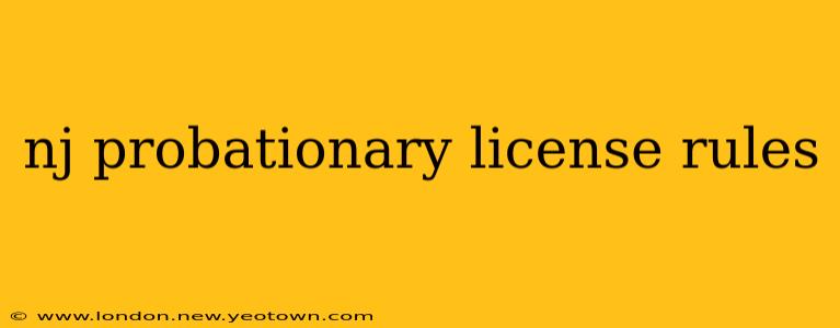 nj probationary license rules