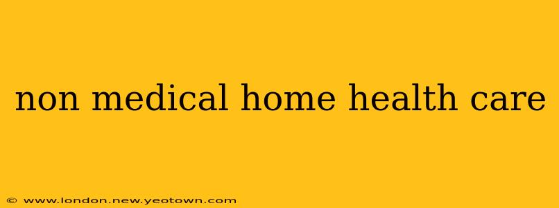 non medical home health care