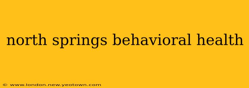 north springs behavioral health