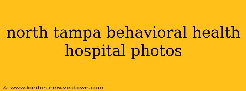 north tampa behavioral health hospital photos