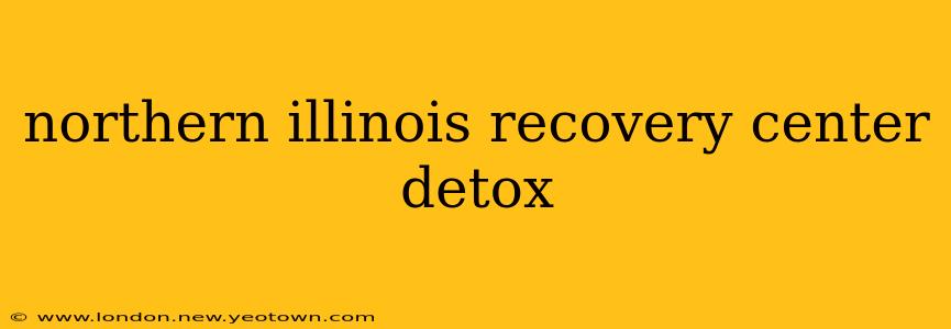northern illinois recovery center detox