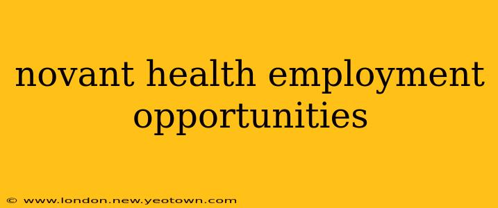 novant health employment opportunities