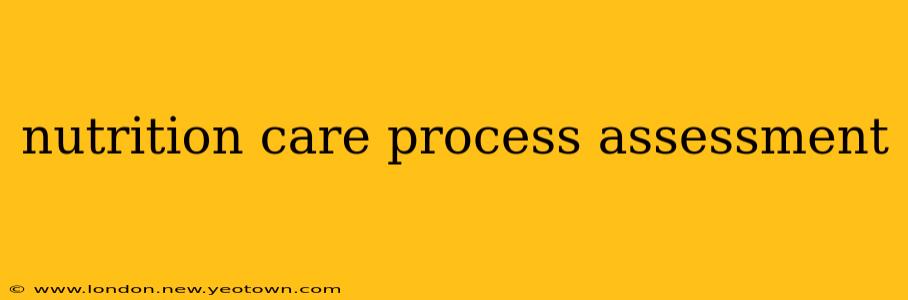 nutrition care process assessment