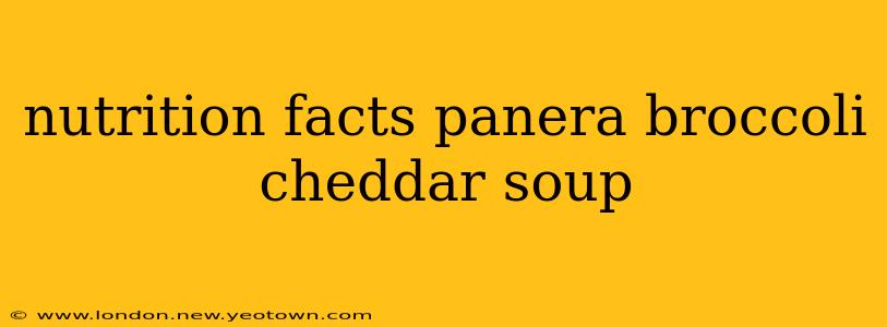nutrition facts panera broccoli cheddar soup