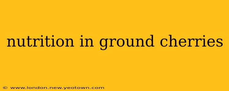 nutrition in ground cherries