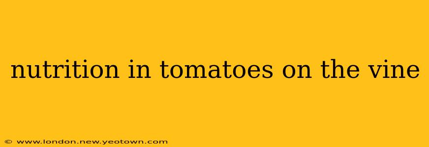 nutrition in tomatoes on the vine