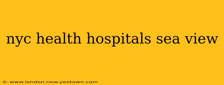 nyc health hospitals sea view