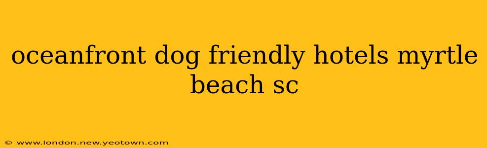 oceanfront dog friendly hotels myrtle beach sc