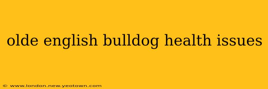 olde english bulldog health issues