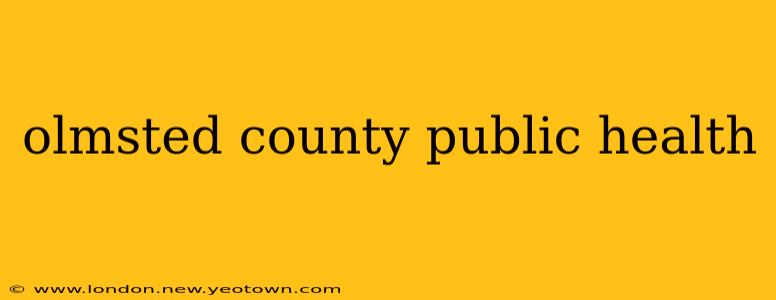 olmsted county public health