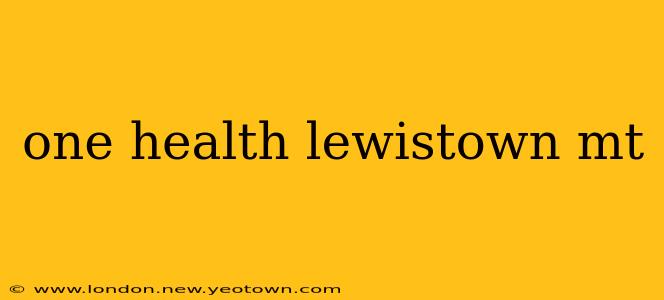 one health lewistown mt