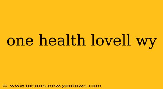 one health lovell wy