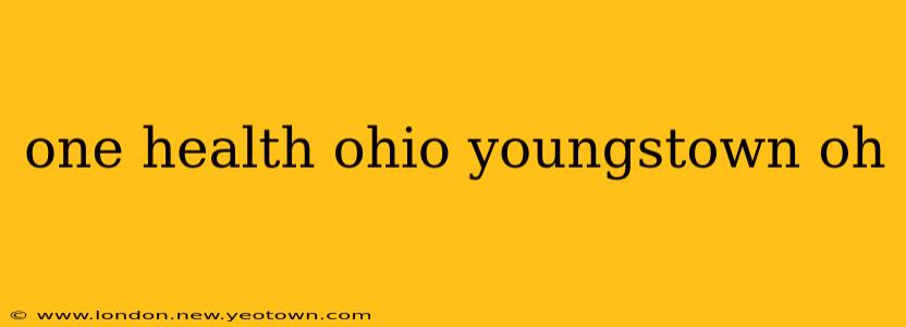 one health ohio youngstown oh