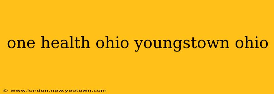 one health ohio youngstown ohio