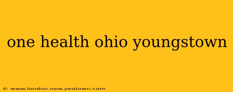 one health ohio youngstown