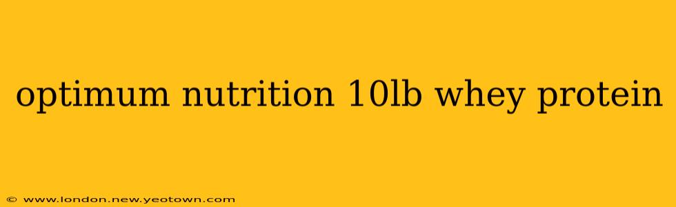 optimum nutrition 10lb whey protein
