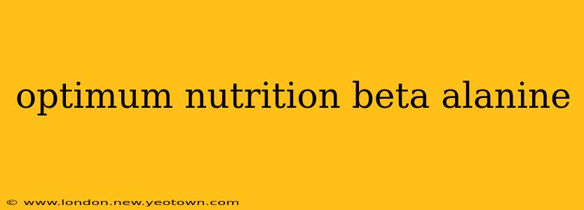 optimum nutrition beta alanine