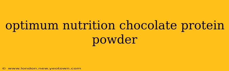 optimum nutrition chocolate protein powder