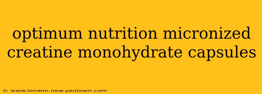 optimum nutrition micronized creatine monohydrate capsules