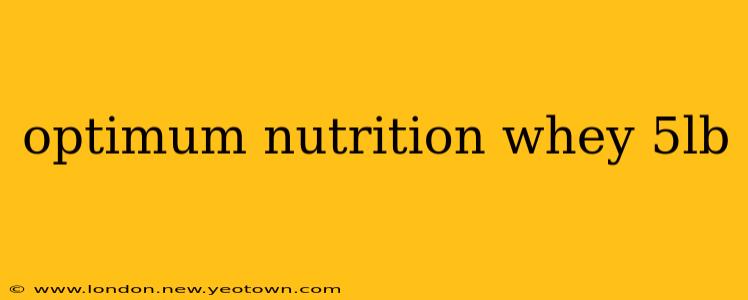 optimum nutrition whey 5lb