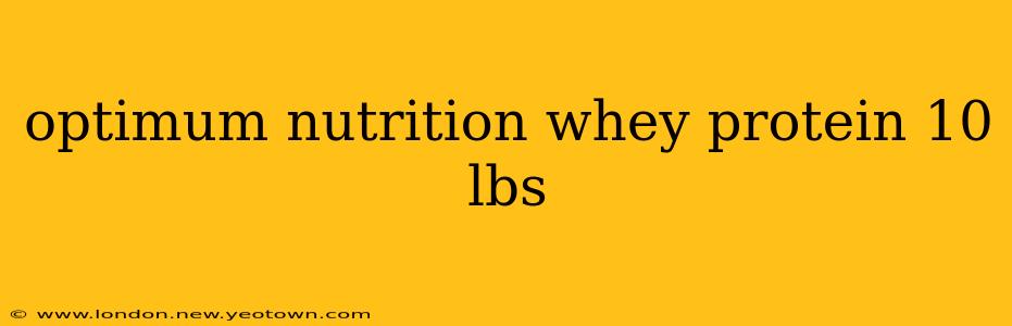 optimum nutrition whey protein 10 lbs