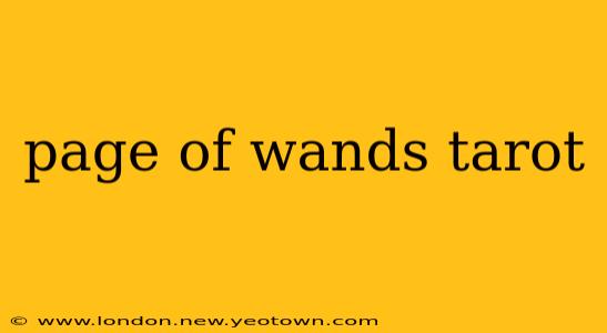 page of wands tarot