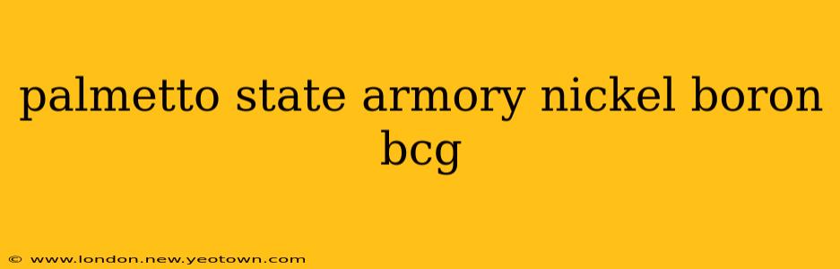 palmetto state armory nickel boron bcg