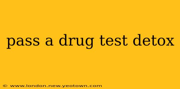 pass a drug test detox