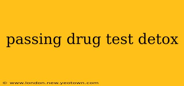 passing drug test detox