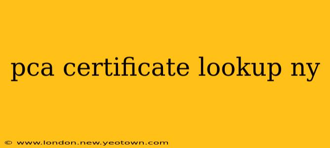 pca certificate lookup ny