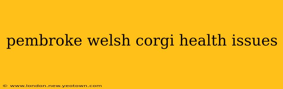 pembroke welsh corgi health issues
