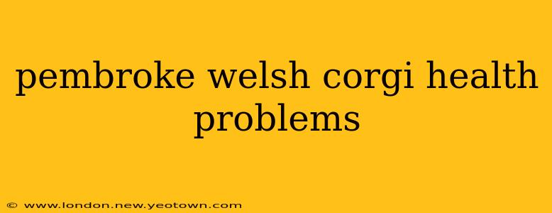 pembroke welsh corgi health problems