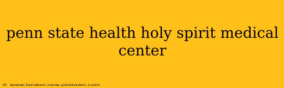 penn state health holy spirit medical center