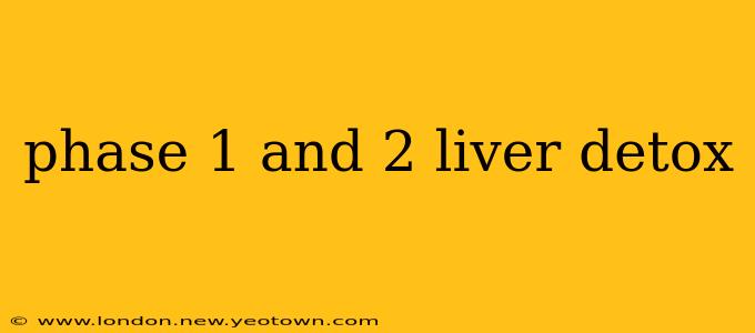 phase 1 and 2 liver detox
